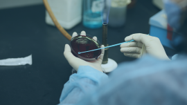 Eliava • Foundation