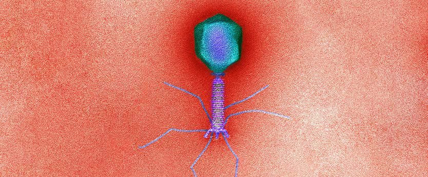 Western firms are becoming interested in a Soviet medicine