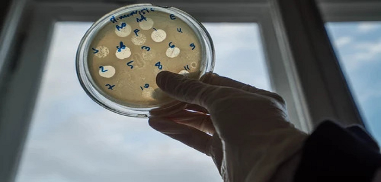 Viruses Are The Antibiotics Of The Future