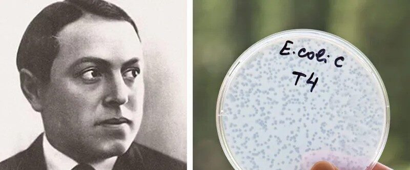 გიორგი ელიავას სახელობის ბაქტერიოფაგიის, მიკრობიოლოგიისა და ვირუსოლოგიის ინსტიტუტი 100 წლისაა – რატომ არ კარგავს ფაგები და ბაქტერიოფაგიის ინსტიტუტი აქტუალობას მსოფლიო მასშტაბით?